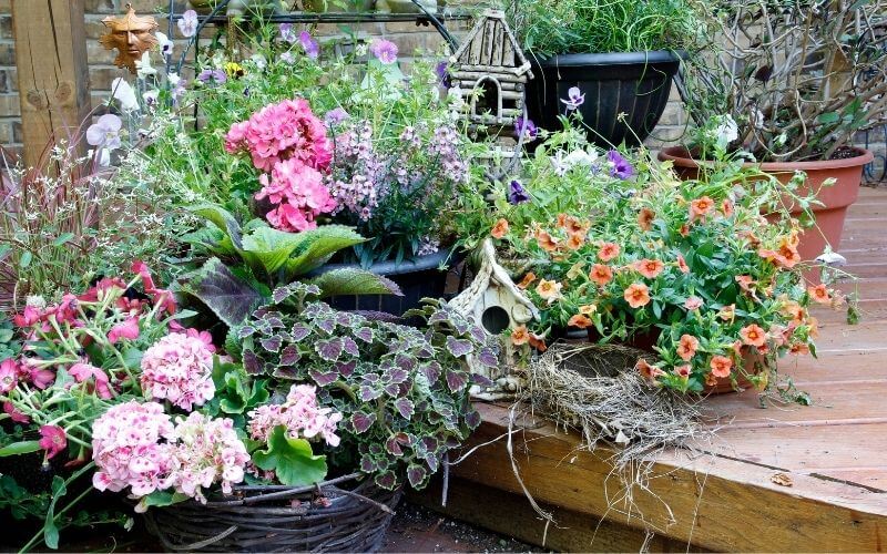 17 Tips For Container Gardening In The Shade