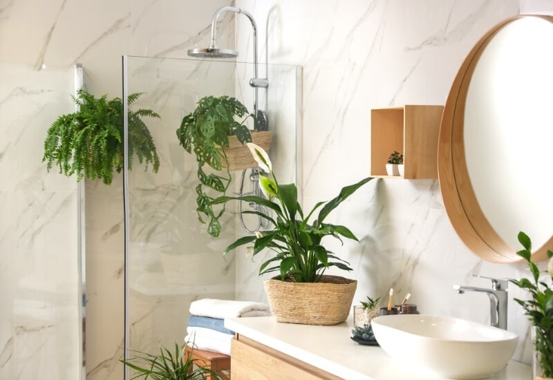 Humidity-Loving Shower Plants Will Thrive In Your Bathroom