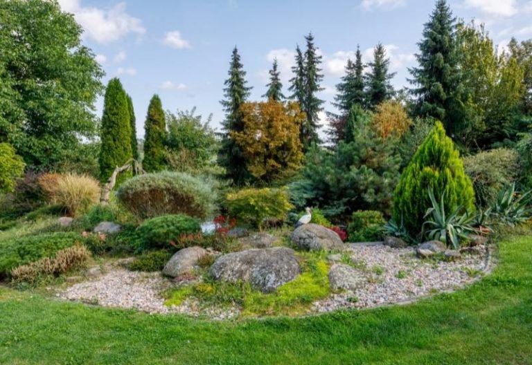 15 Beautiful Dwarf Trees for Small Gardens and Landscapes