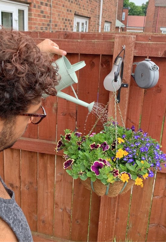 Water Your hanging Baskets Regularly to Keep Them Flowering in Summer