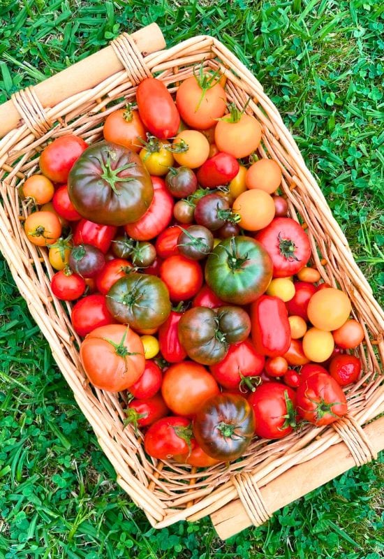 Choose Different Varieties of Tomatoes